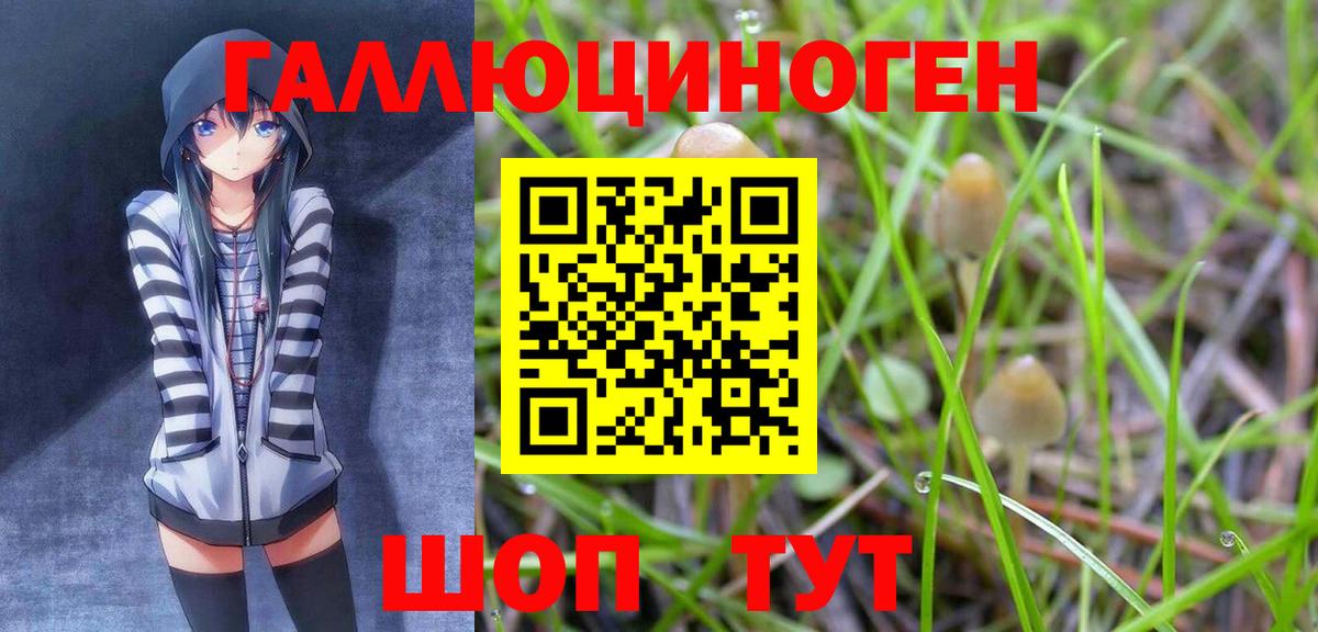 Псилоцибиновые грибы мицелий Грязи